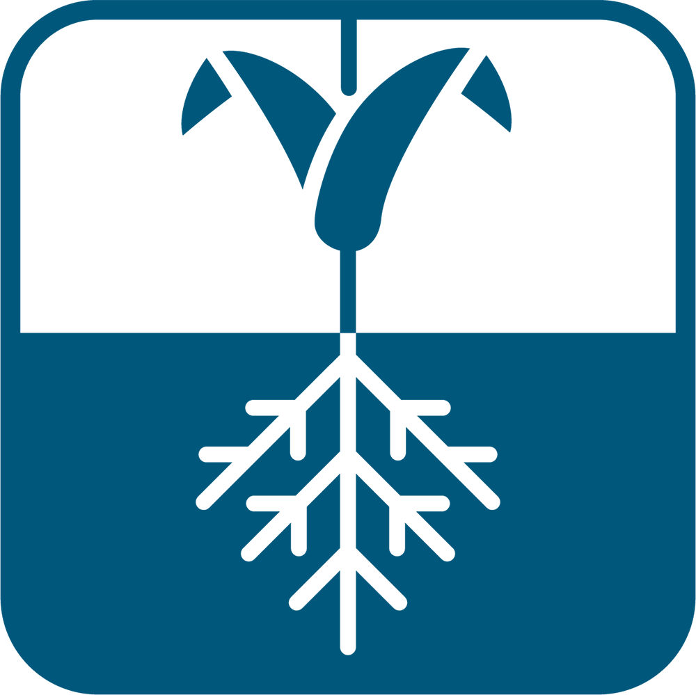 Мощна коренова система